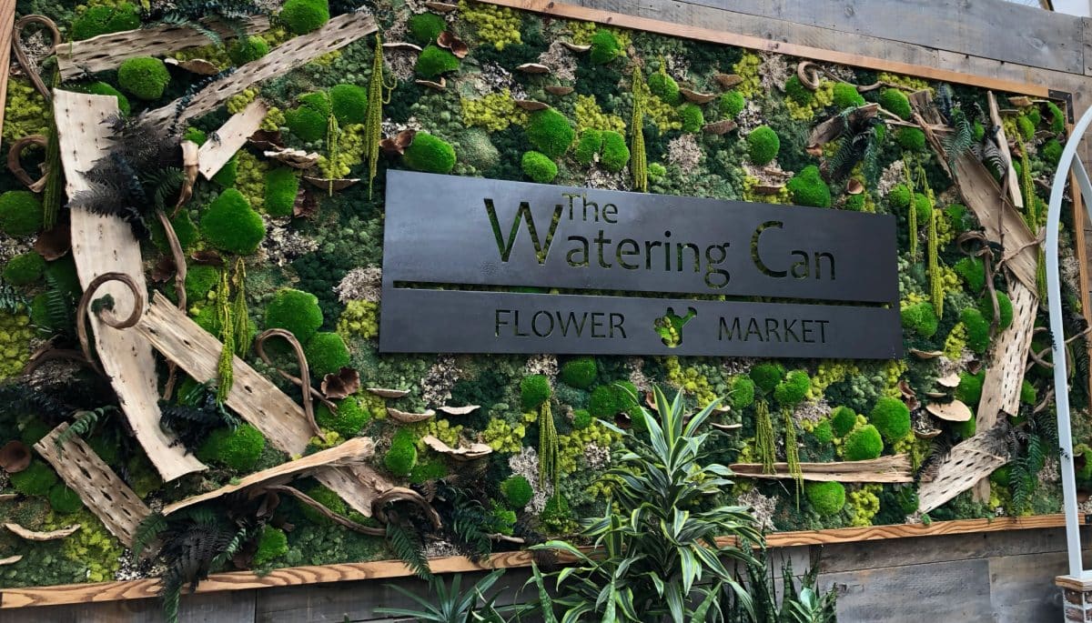 The Watering Can Flower Market | Merchants of Happiness
