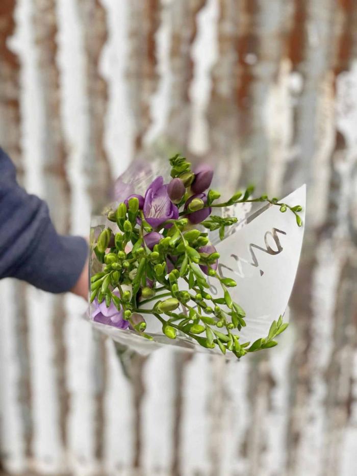 Cut Freesias - Image 4