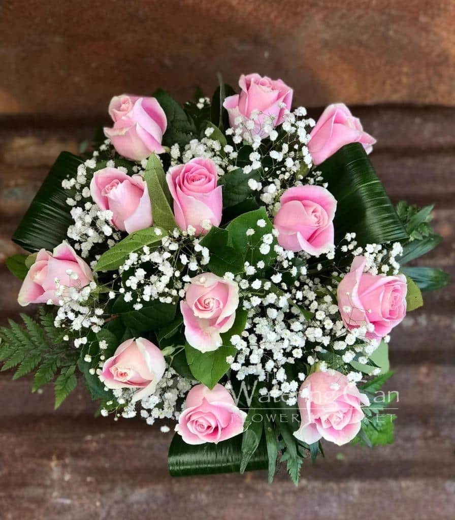 Light Pink Roses The Watering Can Flower Market   One Dozen Light Pink Roses Scaled 1 Scaled 896x1024 