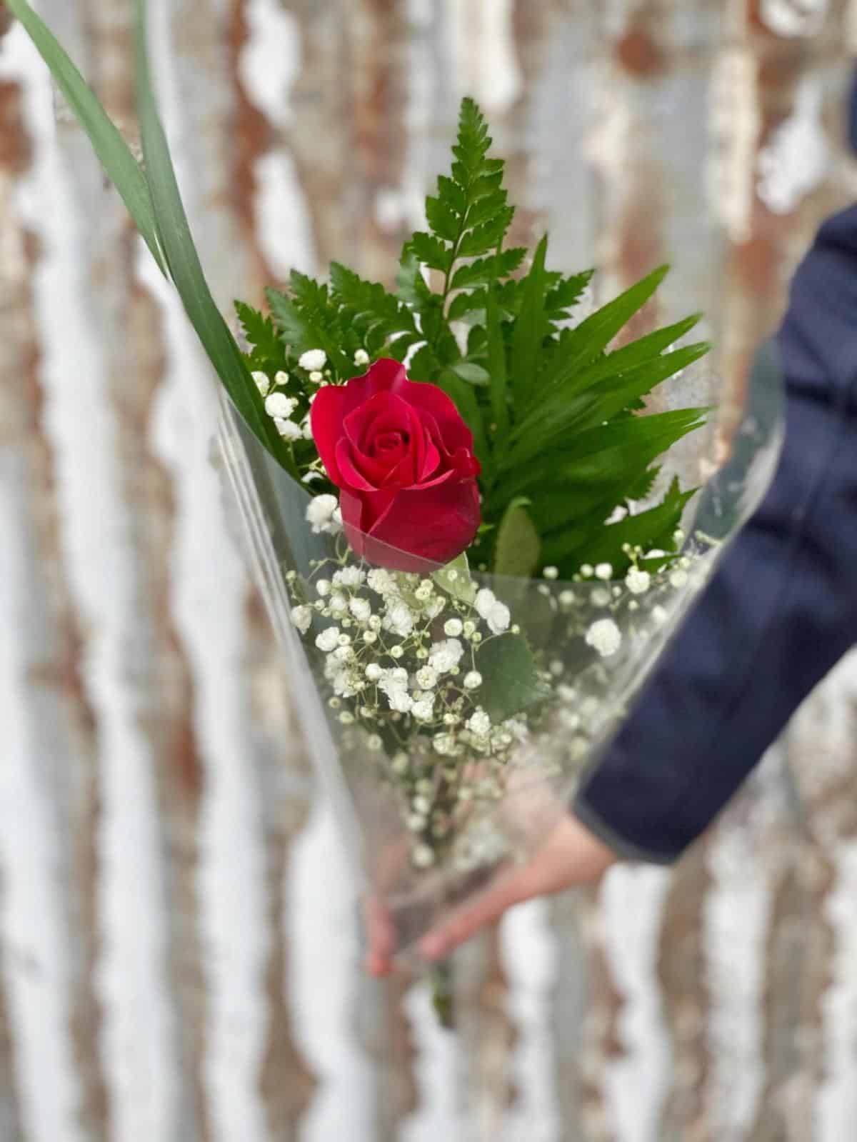 Valentine's Day Roses The Watering Can Flower Market