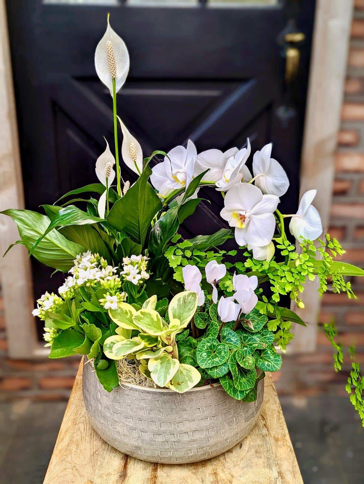 Planters The Watering Can Flower Market