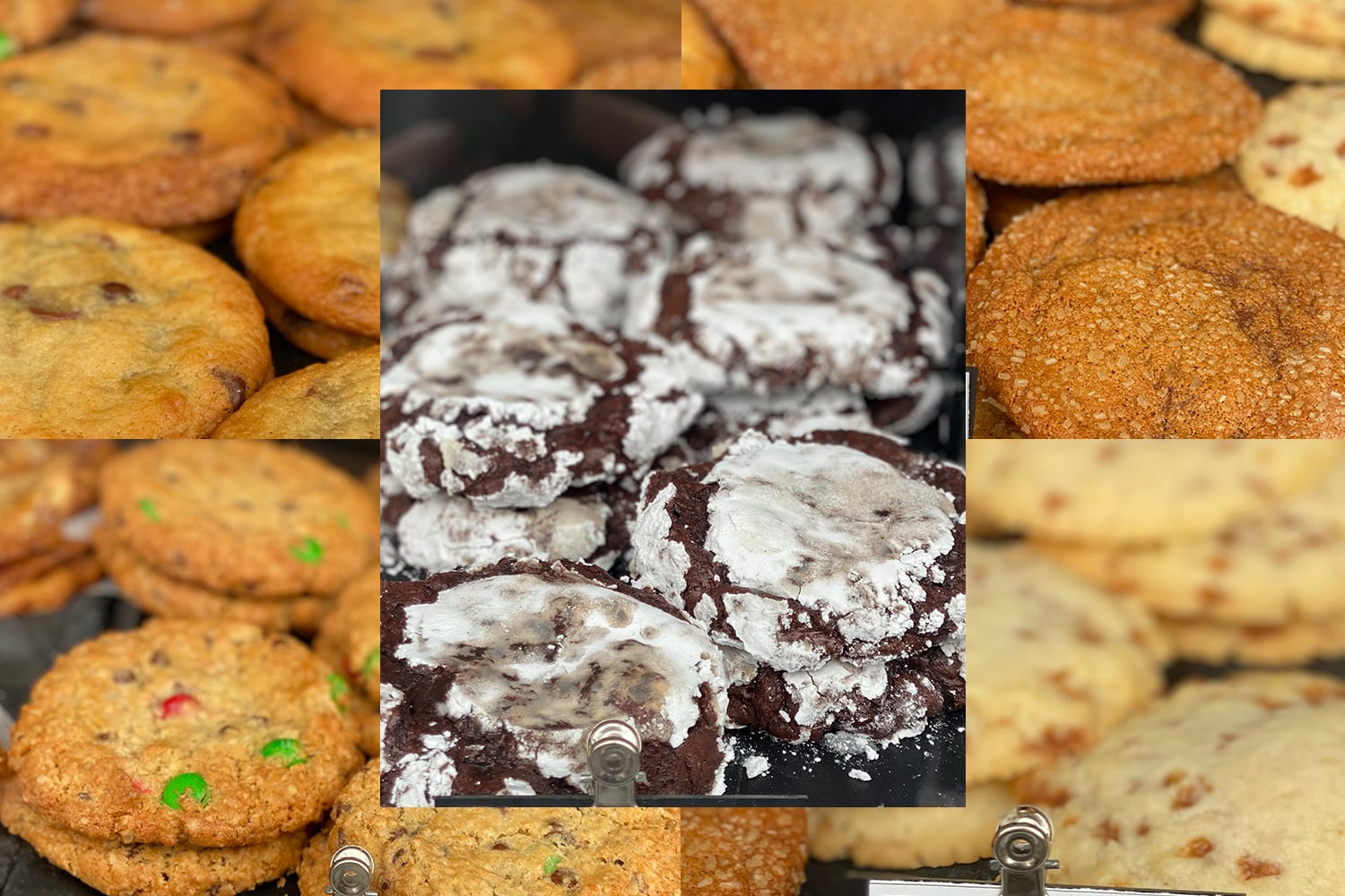 Image collage of Cookies at the Watering Can Flower Market.