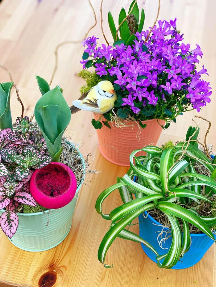 Cheerful Trio DIY - Image 2