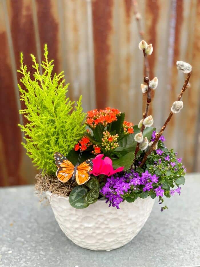 The Watering Can | A colorful spring planter in a white oblong container.