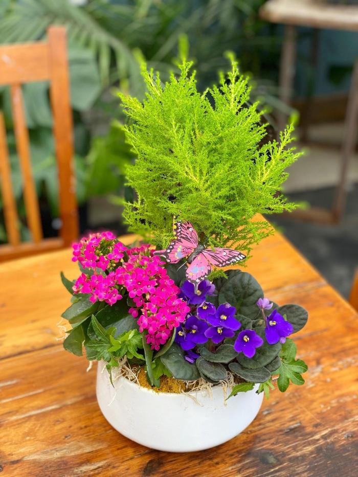 A birght planter featuring pink, purple and green plants. Accented with a butterfly