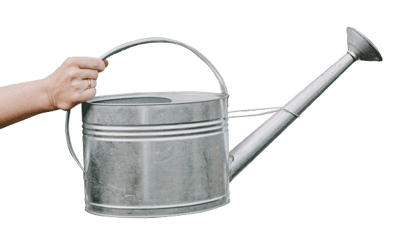 The Watering Can | Isolated image of a watering can