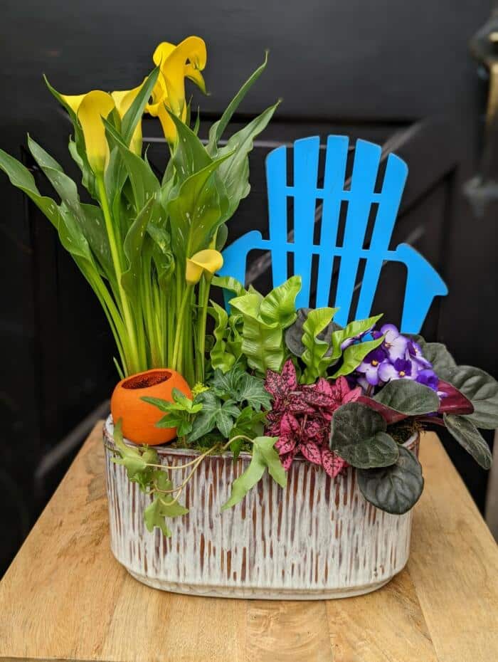 The Watering Can | A cheery garden planter with a variety of greens, yellow, pink and purple blooms and a blue Muskoka chairin an oval grey container.