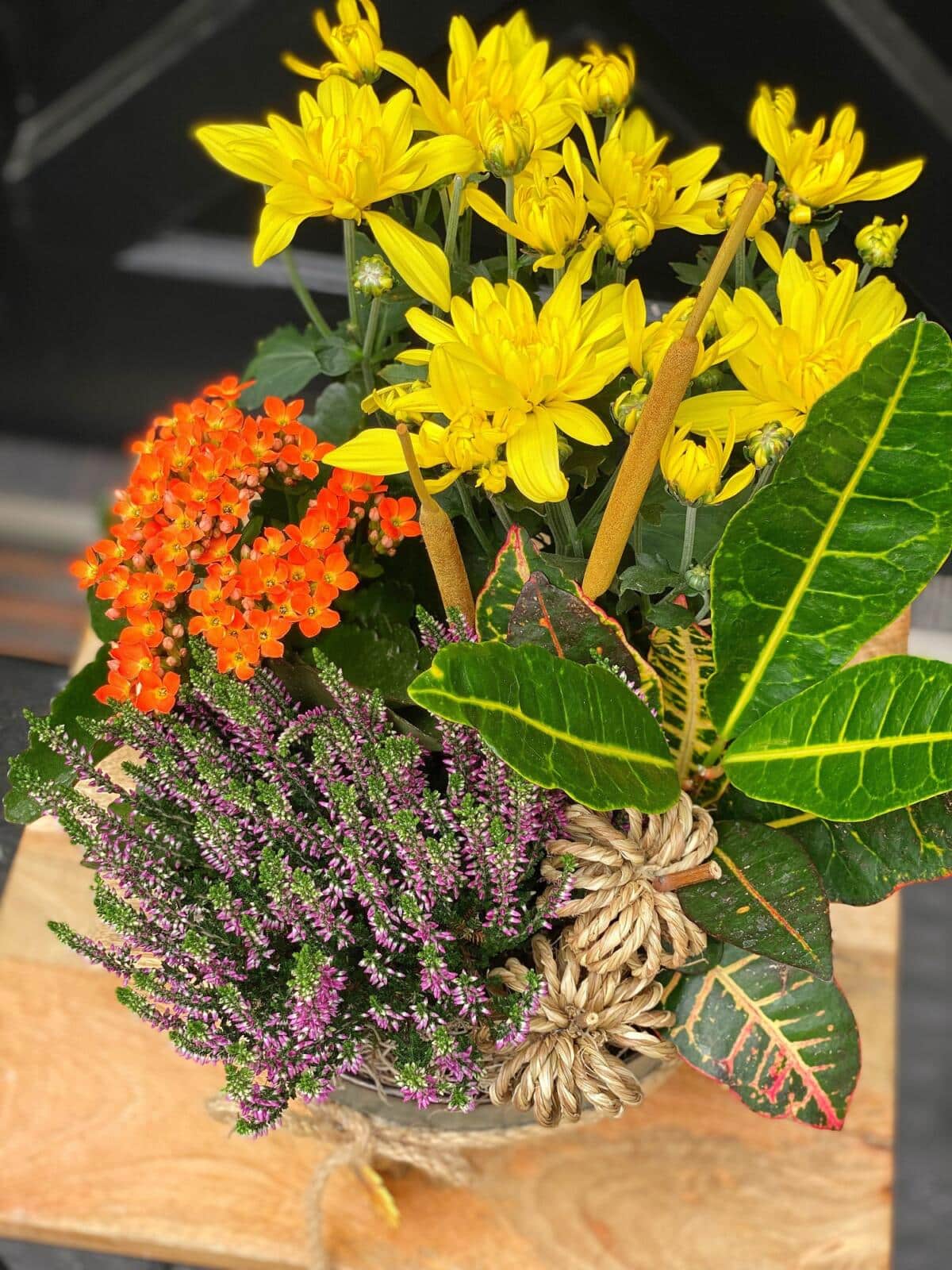 Country Garden The Watering Can Flower Market