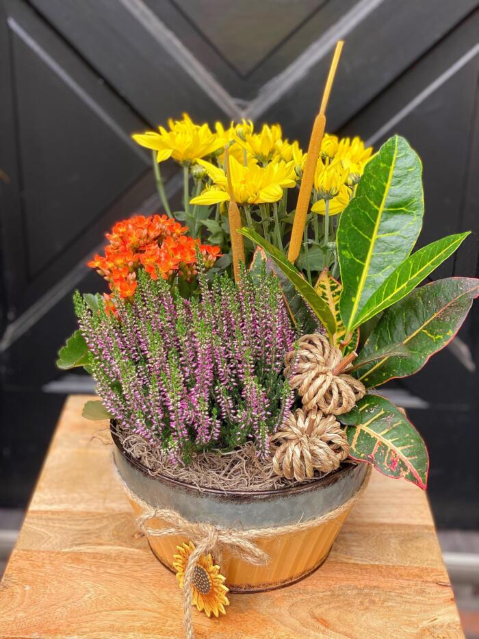 The Watering Can | A lovely planter with yellow mums,.a croton, kolanchoe, heather in an orange tin.