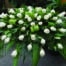 The Watering Can | A white rose casket spray.