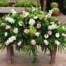 The Watering Can | A white and blush pink casket spray made with hydrangea, pink roses , white stock , soft pink ranunculus, white gerbera daisies, white trachelium, pink veronica, and white wax flower in a lush bed of greens.