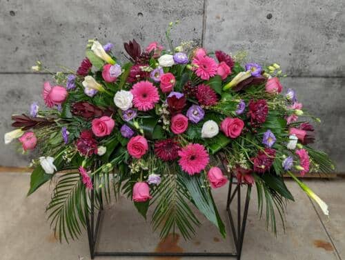 The Watering Can | A casket spray white calla lilies, hot pink roses, dark purple mums, white ranunculus, lavender lisianthus, burgundy Leucadendron, hot pink large gerberas, white waxflower, and burgundy hypericum in a bed of greens.