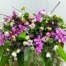 The Watering Can | A large and luxurious purple casket spray made with pink cymbidium orchid, pink roses, soft pink freesia, dark purple helleborus, ranunculus, butterfly ranunculus, and white anemone on a lush bed of tropical greenery.