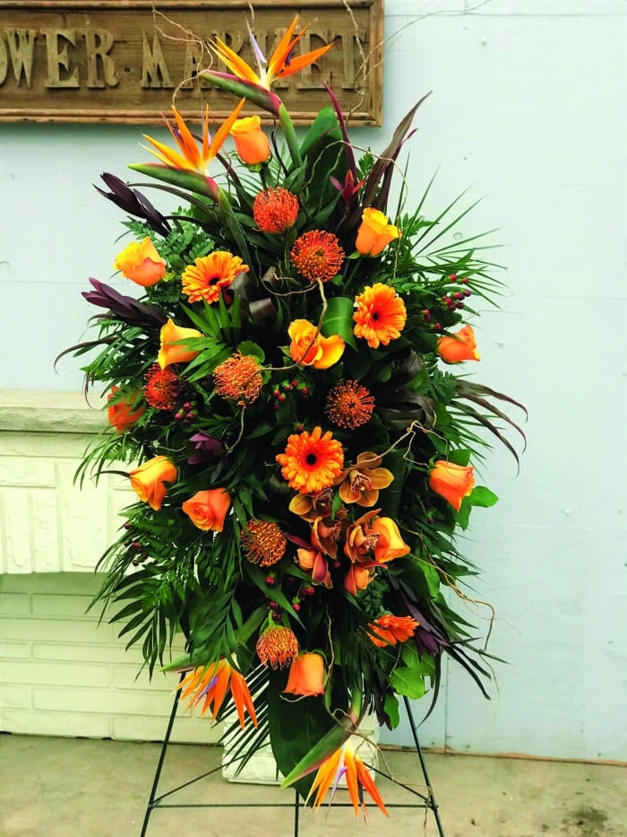 The Watering Can | A bright orange easel spray made with birds of paradise, roses, pinushion, burgundy leucadendron, burgundy hypericum, gerbera daisies, and bronze cymbidium orchids.