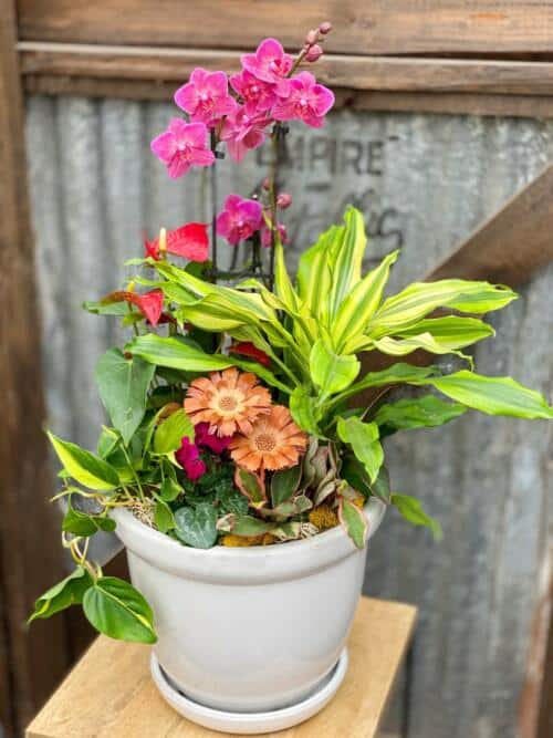 The Watering Can | A large planter with purple orchids, red anthuriums, and a variety of tropical greens in a large white ceramic container.