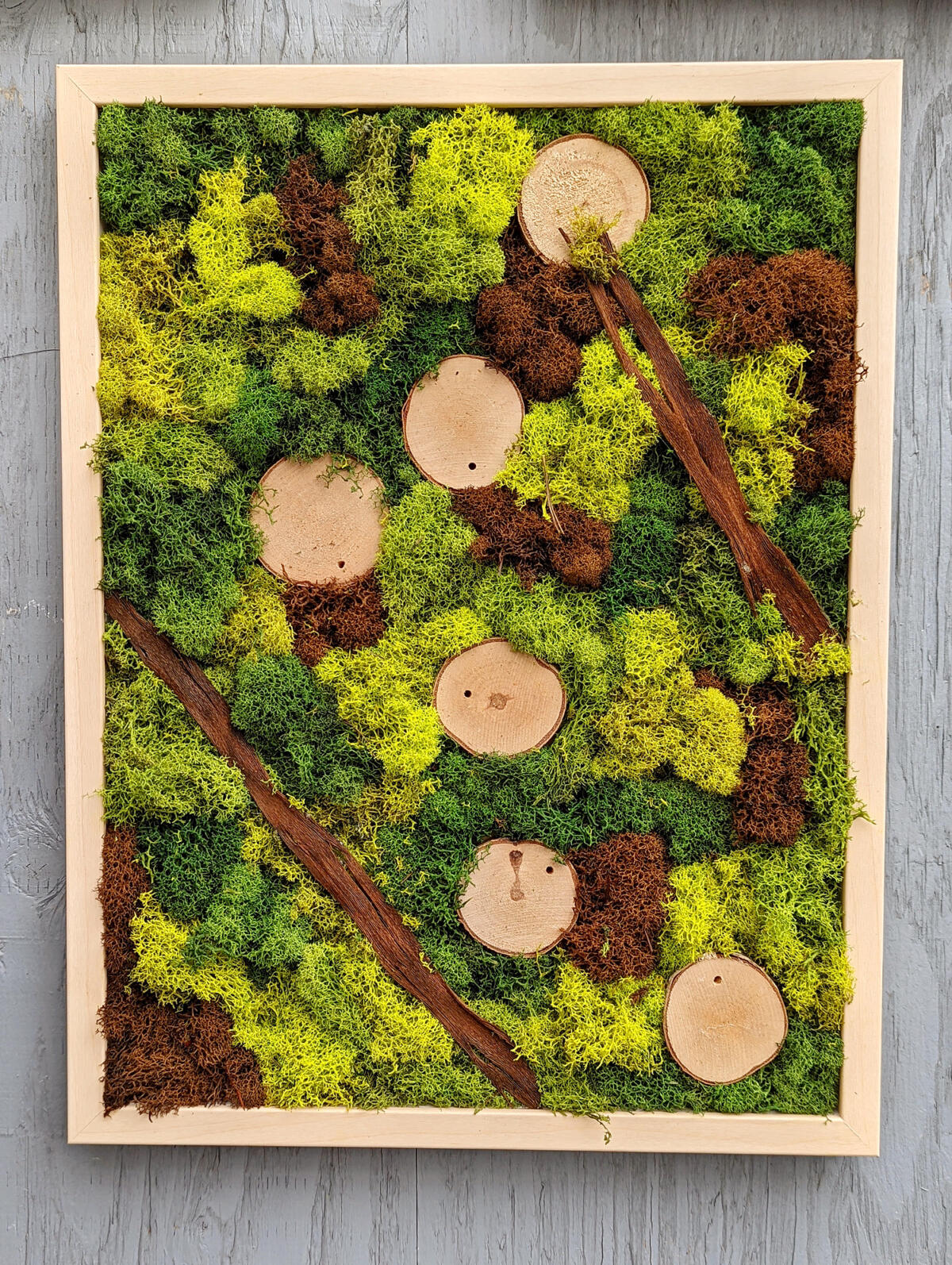 Premier Moss Art Niagara The Watering Can Flower Market