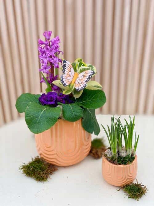 The Watering Can | Two matching spring planters of different sizes.