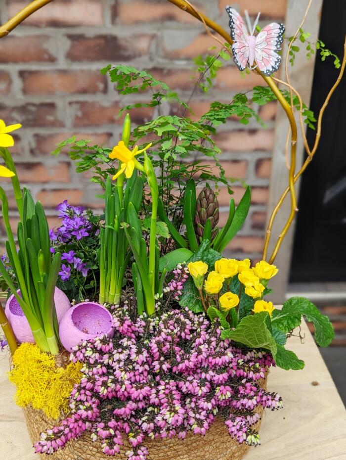 The Watering Can | yellow and purple flowering plants in a spring planter design.