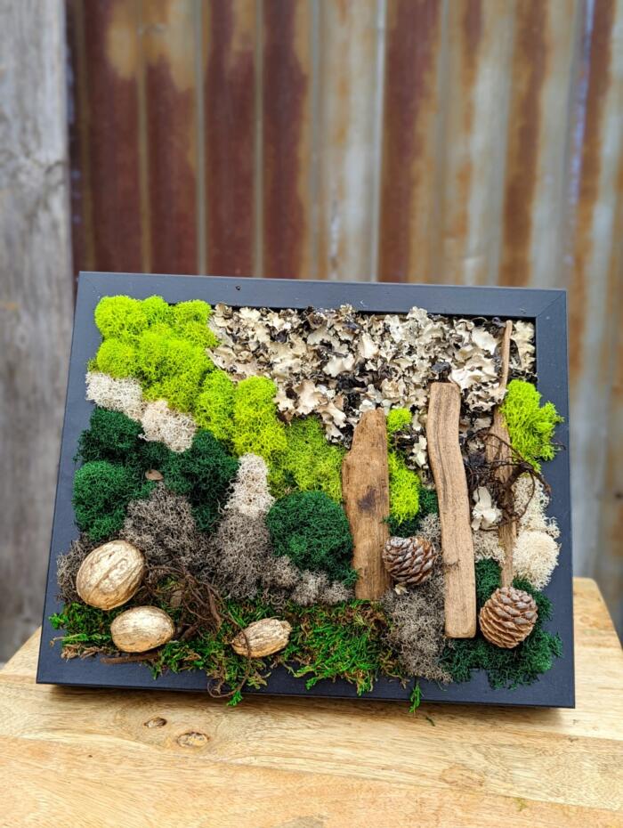 The Watering Can | A moss frame greens mosses, lichens, pinecones, and driftwood fragments in a black frame.