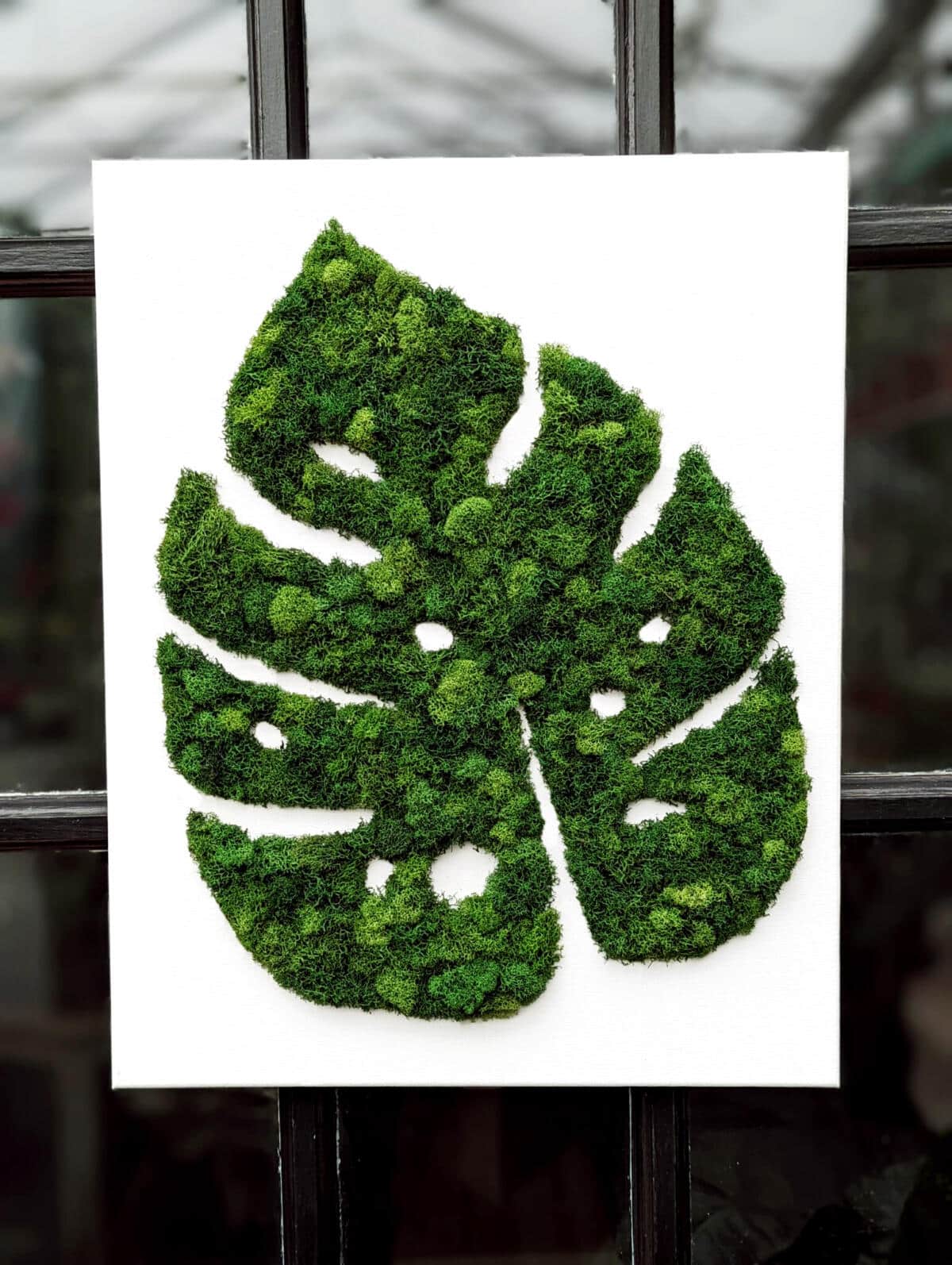 The Watering Can Flower Market