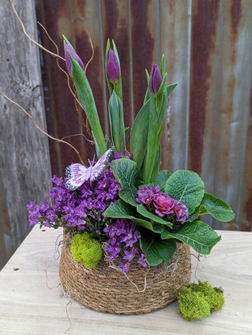 The Watering Can | An all purple flowering spring planter in a basket.