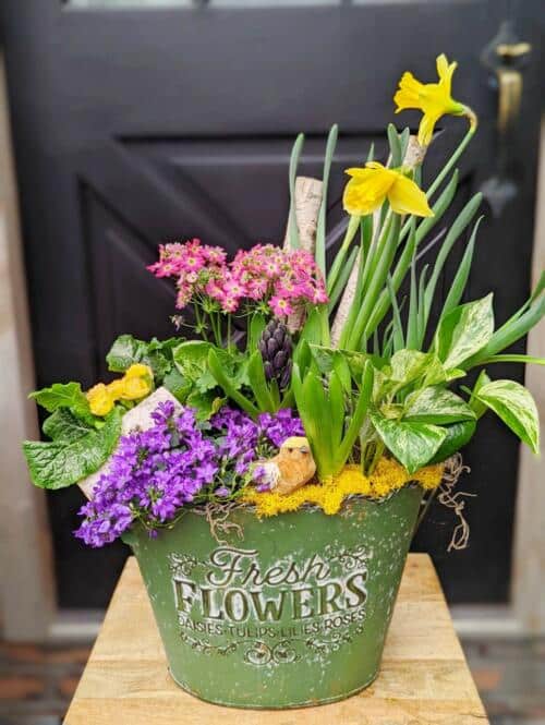 The Watering Can | A vibrant spring planter with a mix of bulbs, other florals and birch in a green container which red 'Fresh Flowers'.
