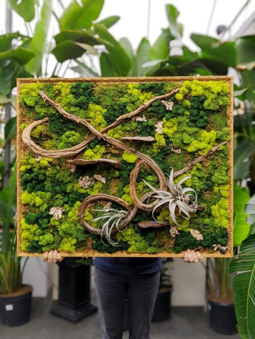 The Watering Can | A large moss art creating with texture greens, swirling vines and two succulents in a golden frame.
