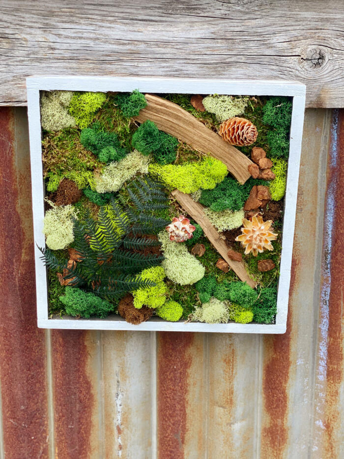 The Watering Can | A moss art piece in a square frame made of greens mosses and natural elements hanging on a wall.