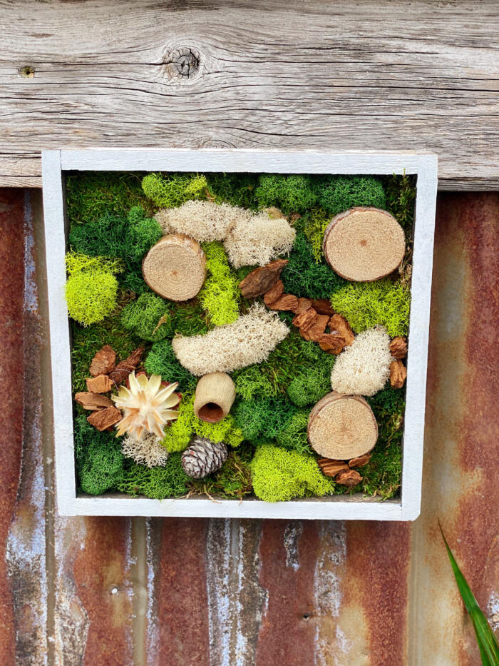 The Watering Can | A moss art piece in a square frame made of greens mosses and natural elements hanging on a wall.
