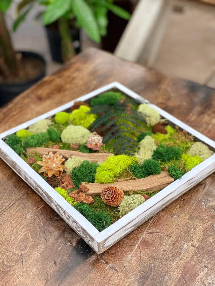 The Watering Can | A moss art piece in a square frame made of greens mosses and natural elements lying on a table.