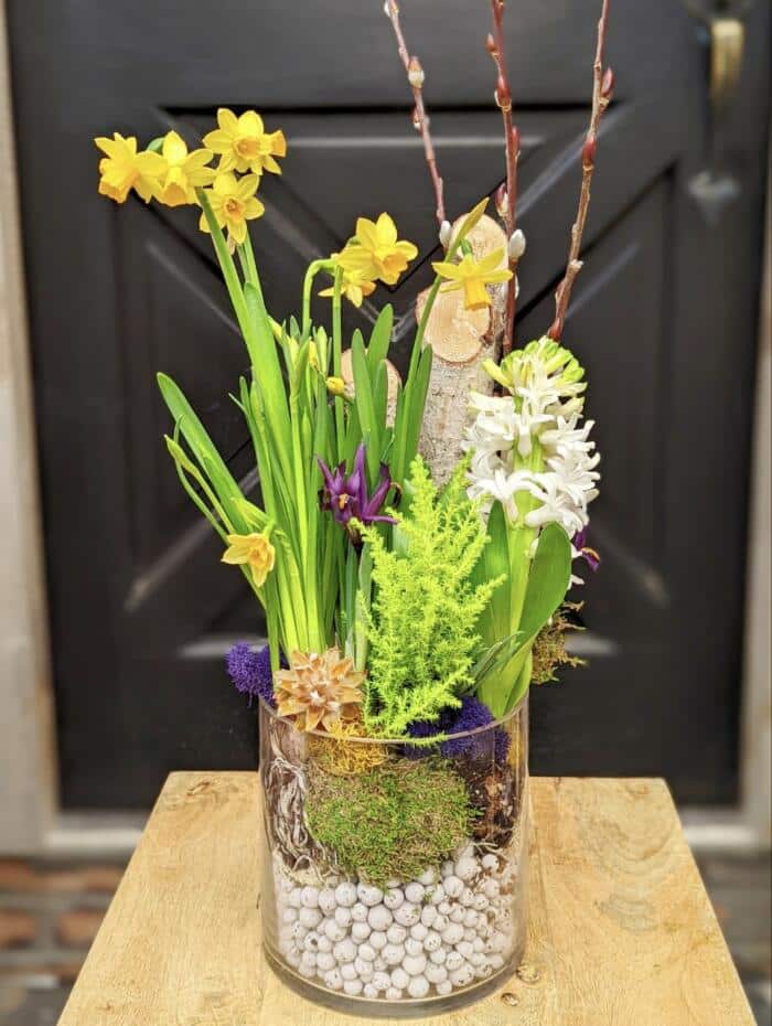 The Watering Can | A spring planter with daffodils and hyacinth in a cylindrical glass vase.