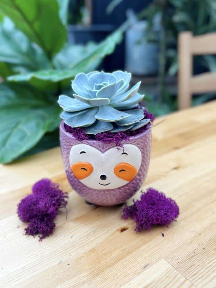 Sid the Sloth DIY