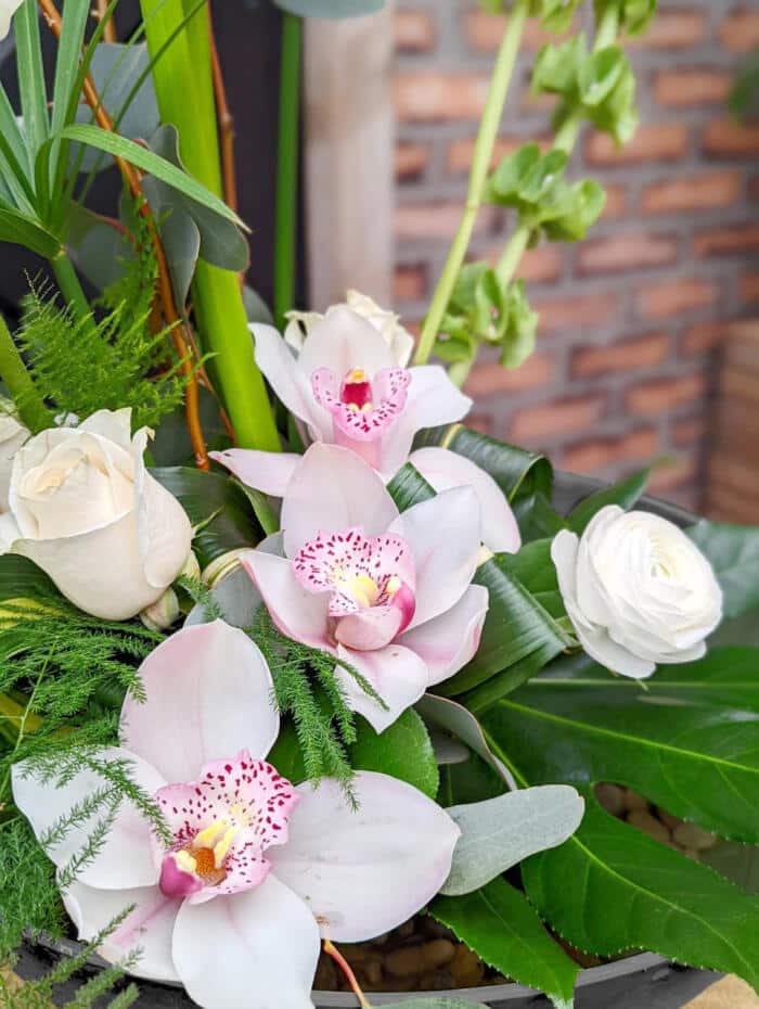 The Watering Can | Blush cymbidium orchid blooms and white roses in a European style arrangement.