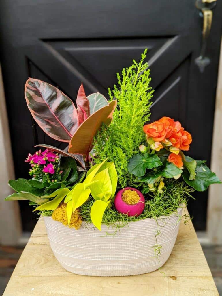 Planters | The Watering Can Flower Market