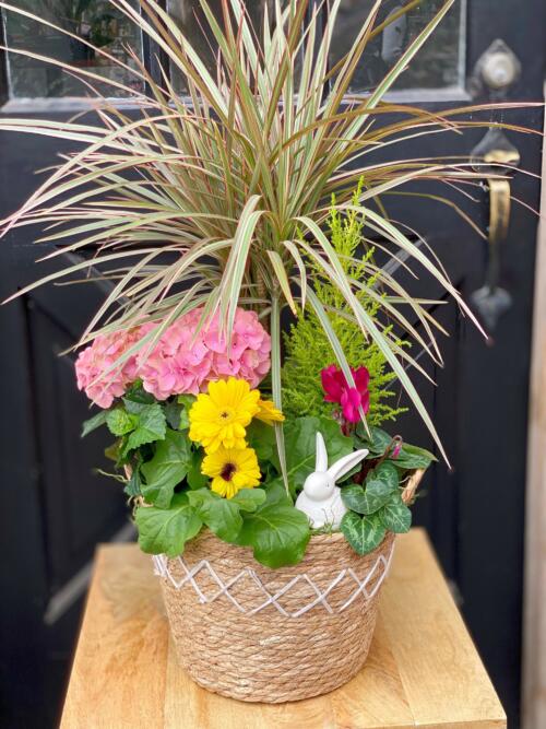 The Watering Can | A spring planter in a basket featuring a large braided draceana with a white ceramic bunny.