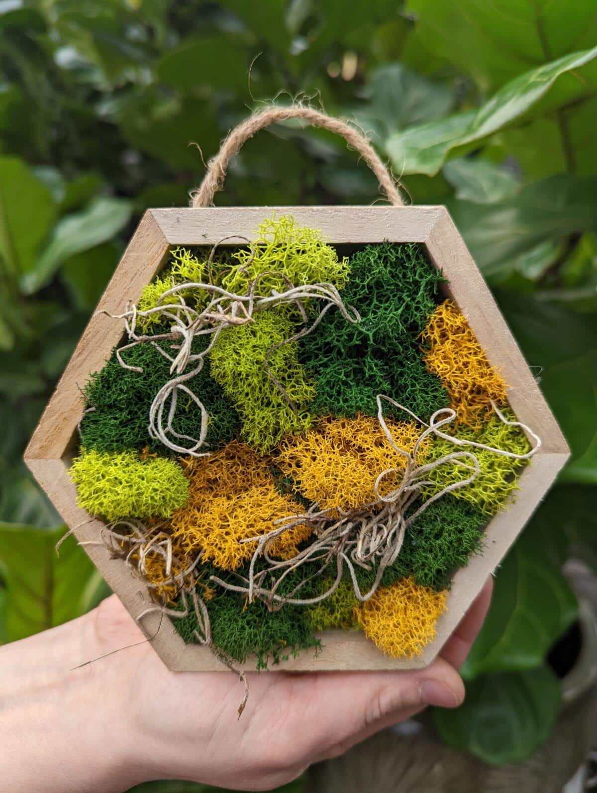 Mini Moss Frame DIY The Watering Can Flower Market mini-moss-frame-diy-the-watering-can-flower-market