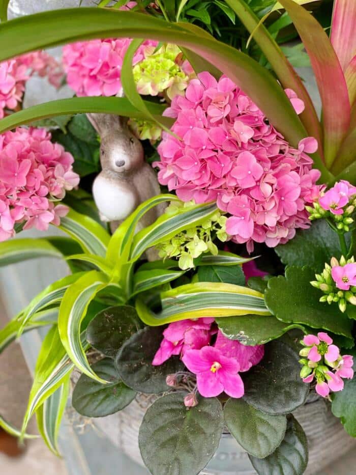 The Watering Can | A small ceramic bunny peers out between pink hydrangea, a bright draceana and a pink african violet.