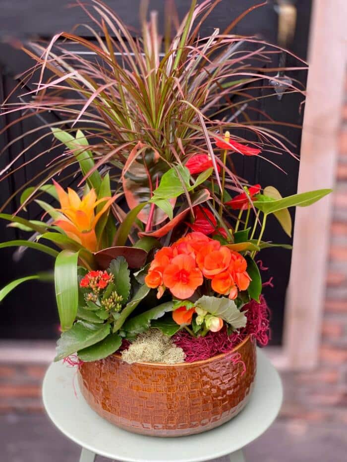 The Watering Can | A large planter with a mix of topicals and flowering plants in warm orange colours planted in a brown container.