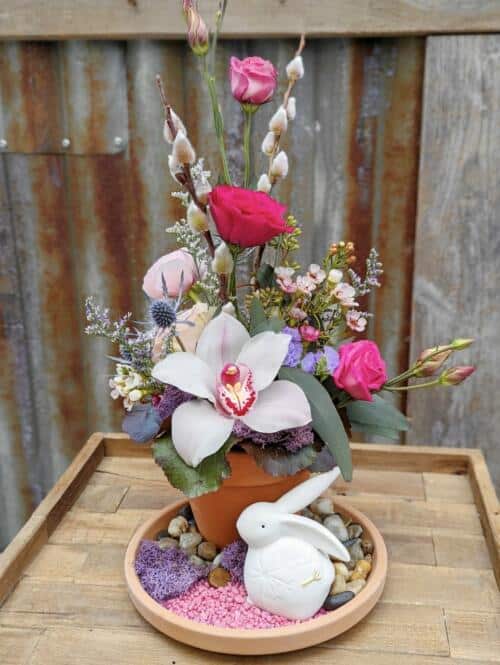 The Watering Can | A small European style arrangement in pink and white in a terracotta pot on a large terracotta saucer along with rocks, pink moss and a white ceramic bunny.