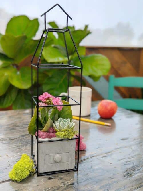 The Watering Can | This DIY kit includes a black wire frame schoolhouse with a cement container inside. You will plant in it a flowering plant and a succulent and decorate it with mosses.