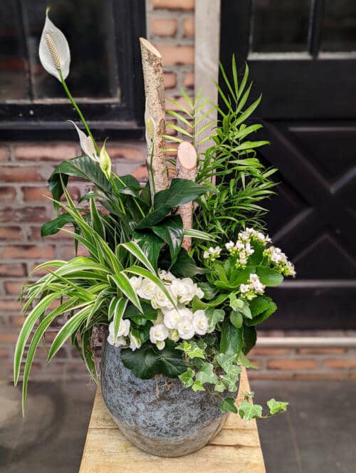 The Watering Can | A large all white and green planter with birch logs in a marbled ceramic container.