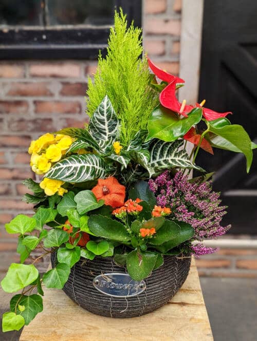 The Watering Can | A colourful fall planter in a grey basket labelled "flowers".