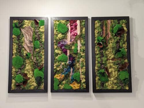The Watering Can | A moss frame triptych with wooden accents and splashes of colour amongst the green in black frames