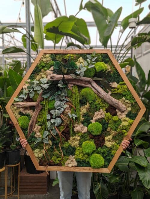 The Watering Can | A large hexagonal moss frame.