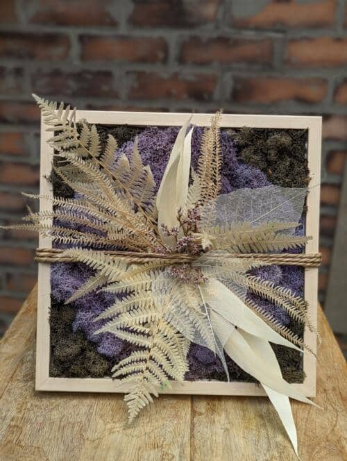 The Watering Can | A star of bleached white dried goods on a bed of purple mosses in a light wooden square frame.