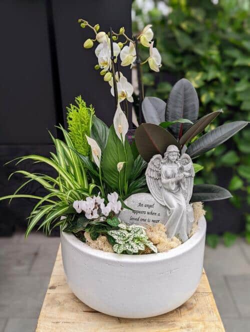 The Watering Can | A white and green planter featuring an orchid and an angel figurine.