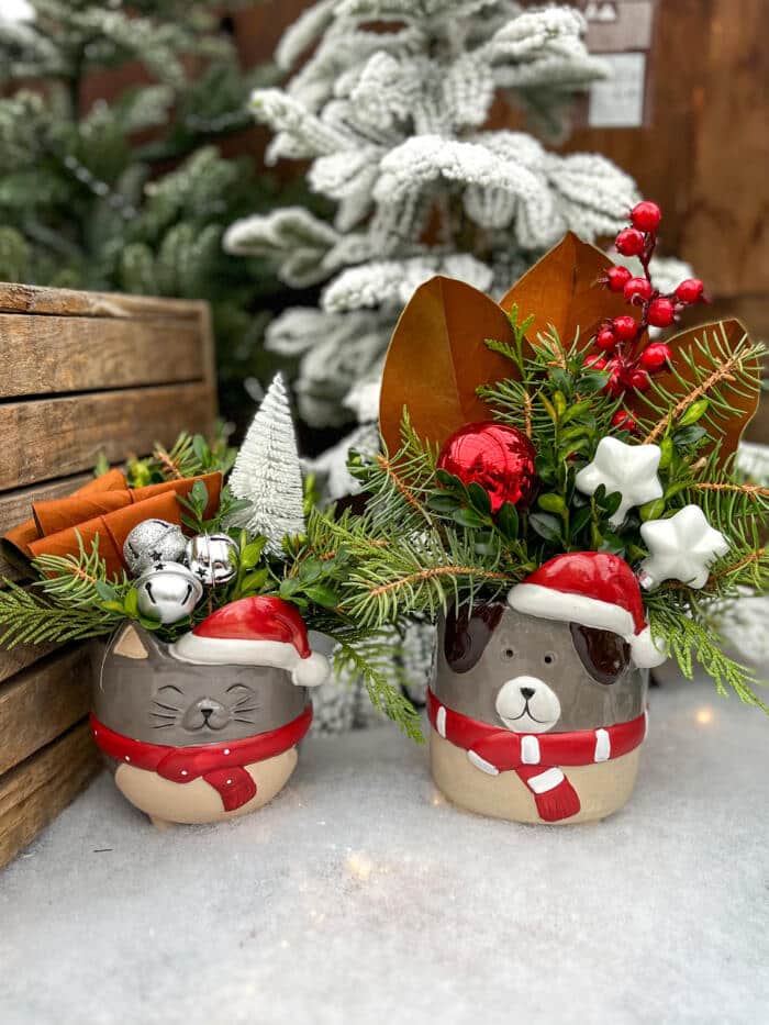 The Watering Can | This kit includes 2 ceramics, one looks like a dog and the other a cat. You will fill them an assortment of winter greens and decorations.