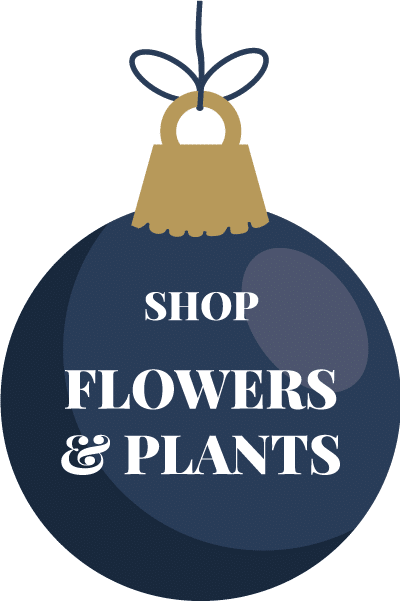 The Watering Can |Shop Flowers and Plants