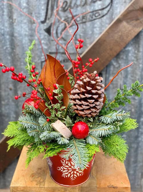 The Watering Can | A winter festive arrangement in a red tin pot with white snowflakes.