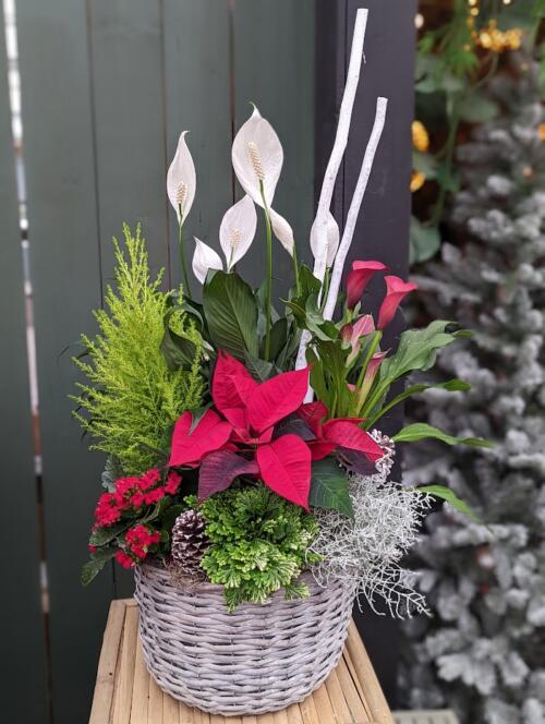 The Watering Can | A red and white winter planter with white peace lilies, red calla lilies, red poinsettia and frosty fern designed in a grey basket.
